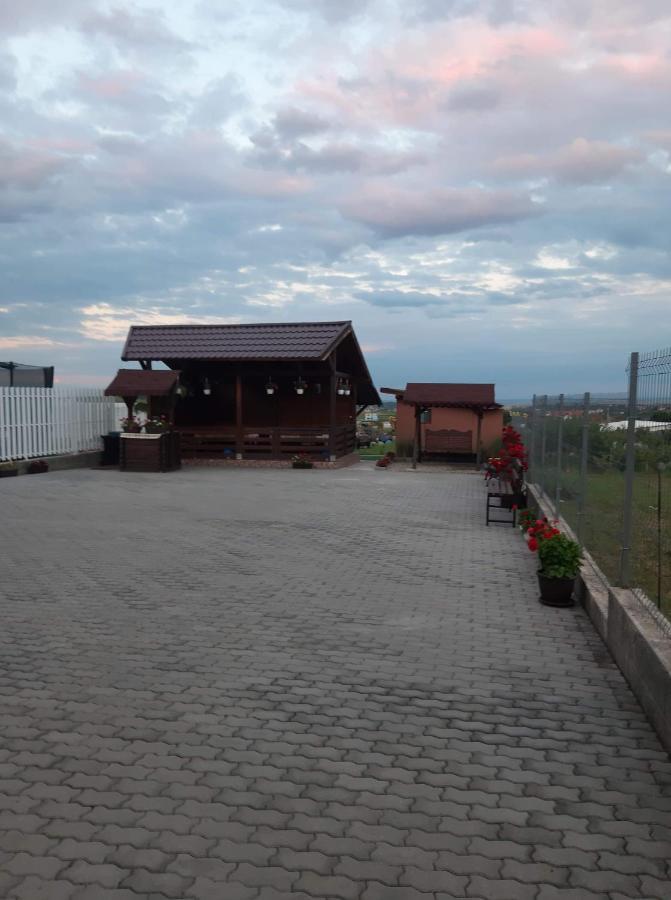 Hotel Casa Alba Sandulesti Exterior foto